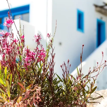 Bella Vista Stegna 4*