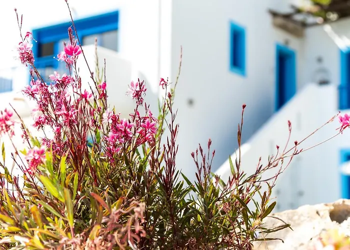 Bella Vista Stegna 4*