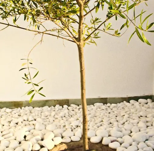 公寓式酒店 贝拉威斯他思特纳酒店 4*