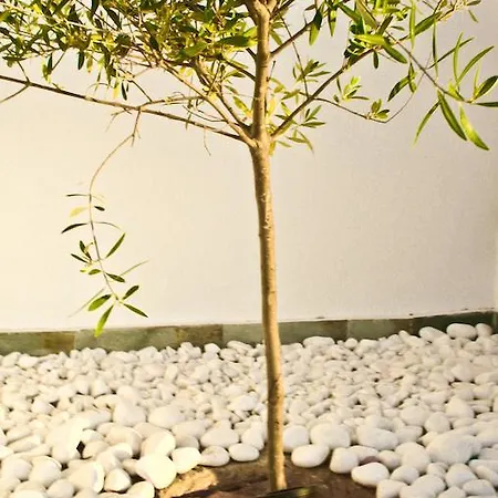 Апарт-отель Bella Vista Stegna 4*